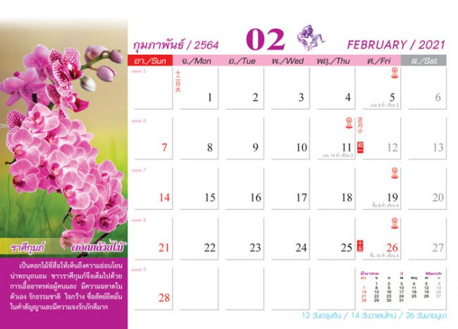 Calendar_2021_Birth-Flowers_ดอกไม้ประจําราศี-ปฏิทิน2564_เดือน2 จ้างทำปฏิทิน