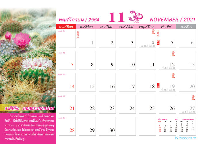 Calendar_2021_Birth-Flowersดอกไม้ประจําราศี ปฏิทิน2564_เดือน11 ปฏิทินสวยงาม