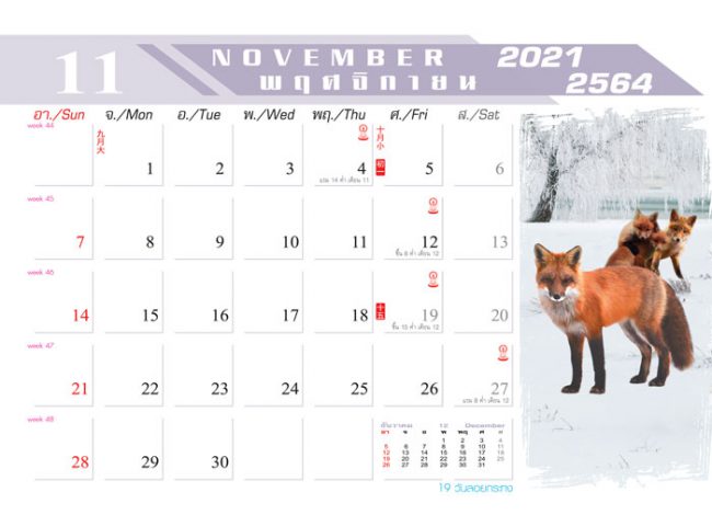 Calendar_2021_Nature-Life_สายใยธรรมชาติ ปฏิทิน 2564-เดือน11 ปฏิทินตั้งโต๊ะ