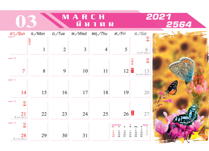 Calendar_2021_Nature-Life_สายใยธรรมชาติ ปฏิทิน 2564-เดือน3 ผลิตปฏิทิน