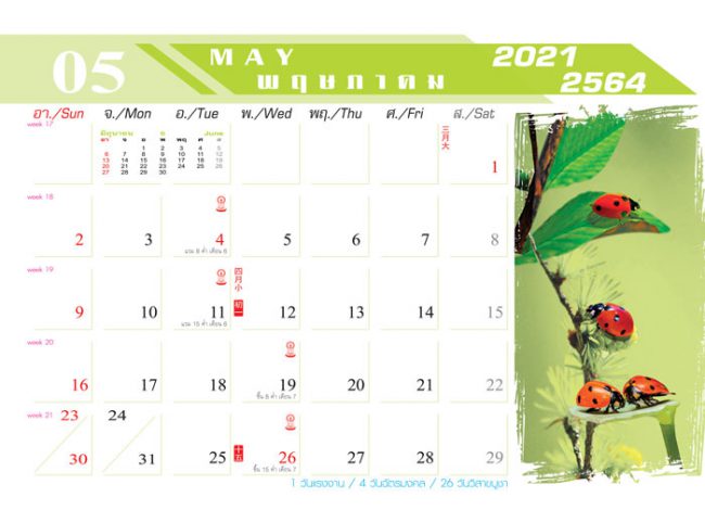 Calendar_2021_Nature-Life_สายใยธรรมชาติ ปฏิทิน 2564-เดือน5 ซื้อปฏิทิน