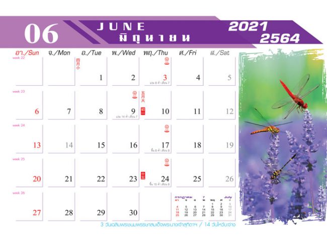 Calendar_2021_Nature-Life_สายใยธรรมชาติ ปฏิทิน 2564-เดือน6 รับทำปฏิทินจำนวนมาก