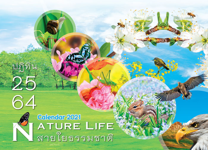 Calendar_2021_Nature-Life_สายใยธรรมชาติ_Cover รับทำปฏิทินตั้งโต๊ะ