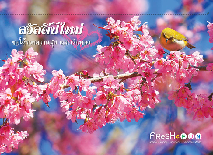 เที่ยวไทย-ปลอดภัย-สุขใจ-Fresh-&-Fun-หลังโปสการ์ด รับทำ โบรชัวร์