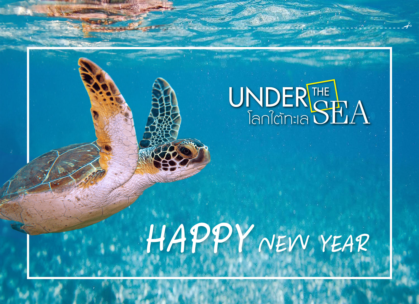 ปฎิทินตั้งโต๊ะ 2566-8-แผ่น_Under The Sea หลังโปสการ์ด