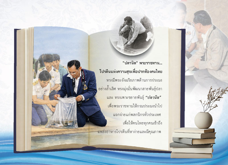 แผ่นเนื้อในปฏิทินชุดพระอัจฉริยภาพในหลวง รัชกาลที่ 9 นำเสนอเรื่องการเพาะพันธุ์ปลานิลพระราชทาน แหล่งอาหารโปรตีนของคนไทย โรงพิมพ์ Abizinter
