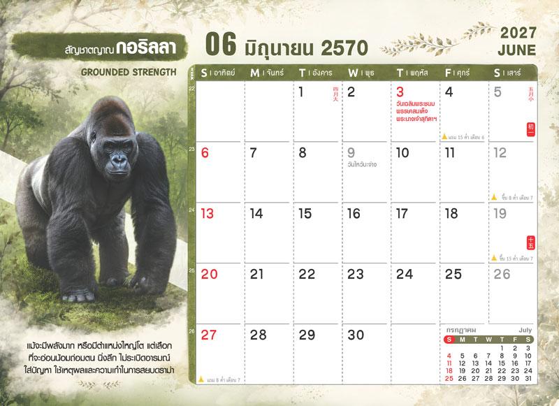 ตารางปฏิทินเดือนมิถุนายน 2570 ชุด WILD ร้าย ลายกอริลลา แสดงตารางวันที่ วันเฉลิมพระชนมพรรษาพระบรมราชินี วันพระ และช่องสำหรับบันทึก โรงพิมพ์ Abizinter