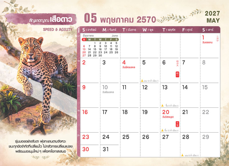 ตารางปฏิทินเดือนพฤษภาคม 2570 ชุด WILD ร้าย ลายเสือดาว แสดงตารางวันที่ วันวิสาขบูชา วันฉัตรมงคล วันพระ และช่องสำหรับบันทึก โรงพิมพ์ Abizinter